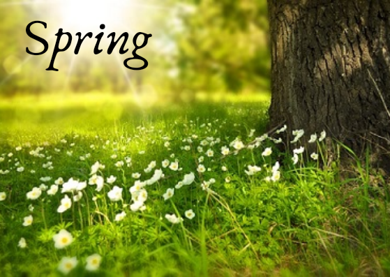 Spring