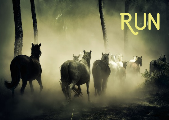 Run