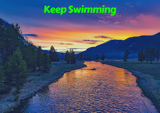 Keep swimming