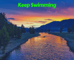 Keep swimming