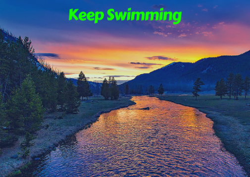 Keep swimming