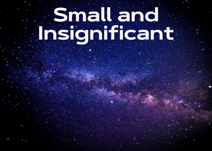 Small and Insignificant – GEORGE L THOMAS