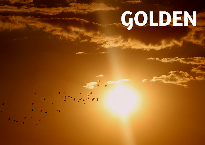 Golden