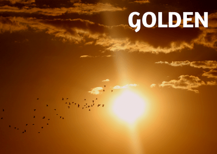 Golden
