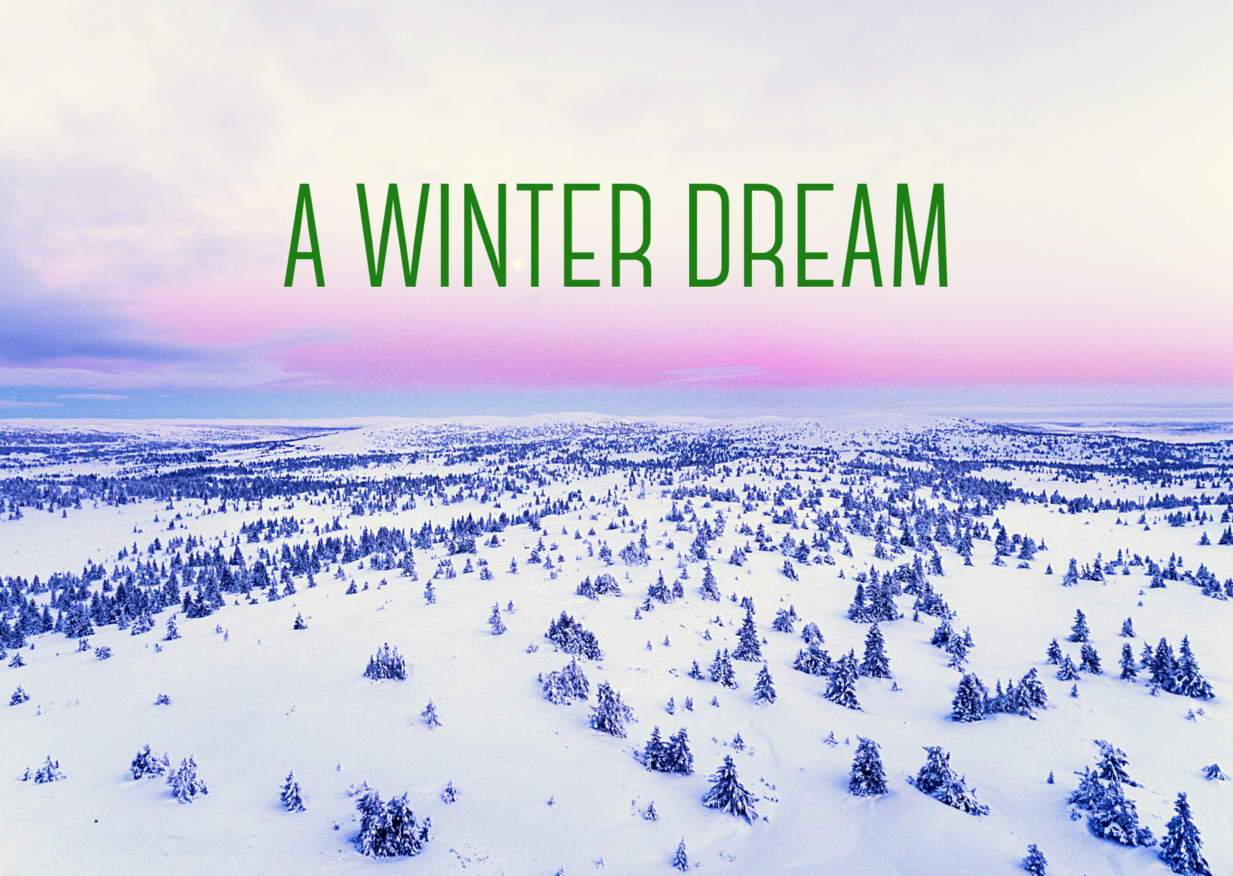 A Winter Dream