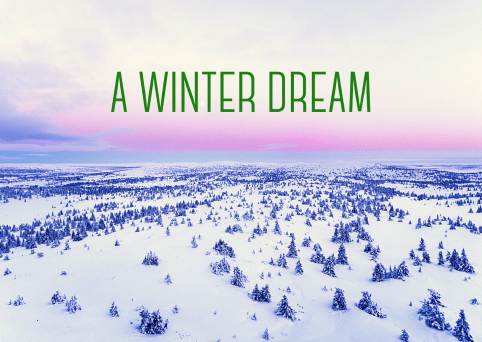 A Winter Dream