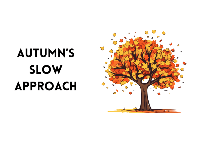 Illustration of a colorful autumn tree shedding leaves, accompanied by the text 'AUTUMN'S SLOW APPROACH'.