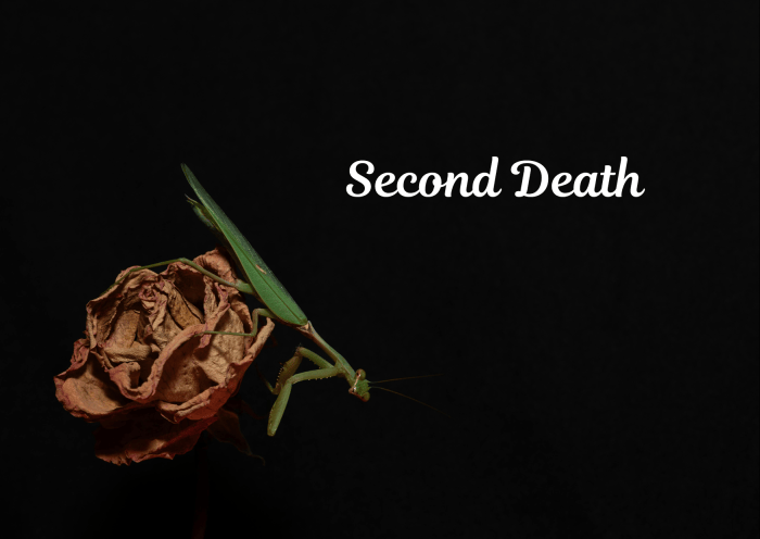 A green praying mantis perched on a dried rose against a dark background with the text 'Second Death' in elegant font.